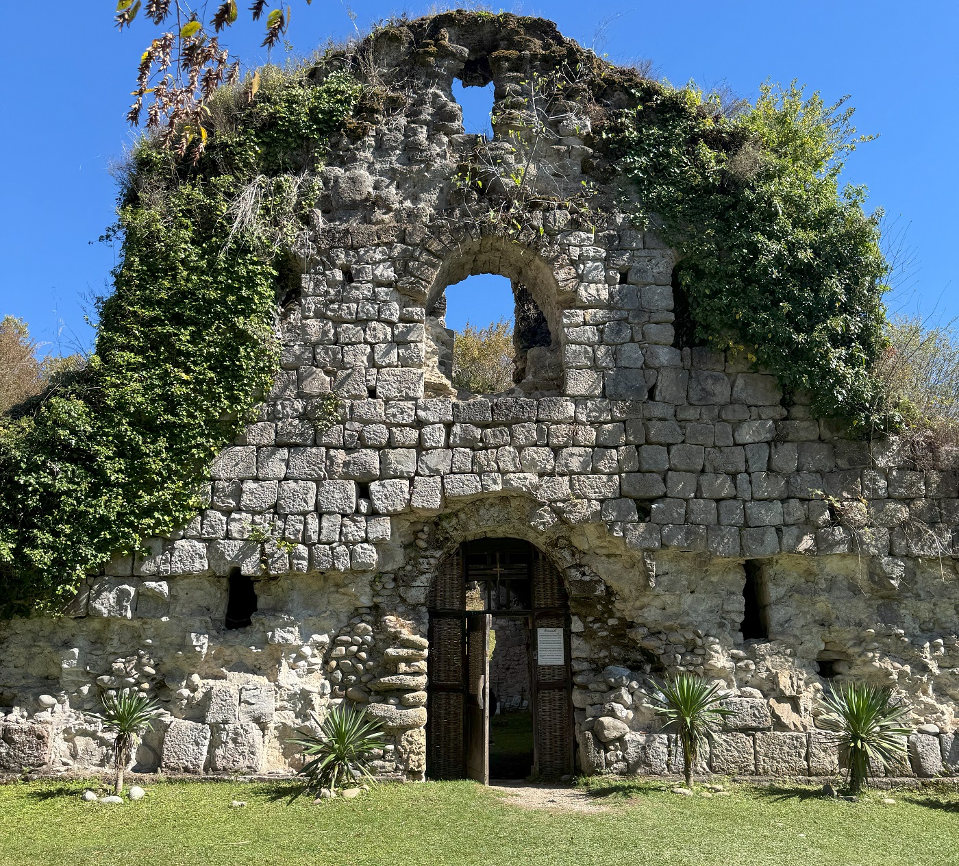 Развалины в зелени