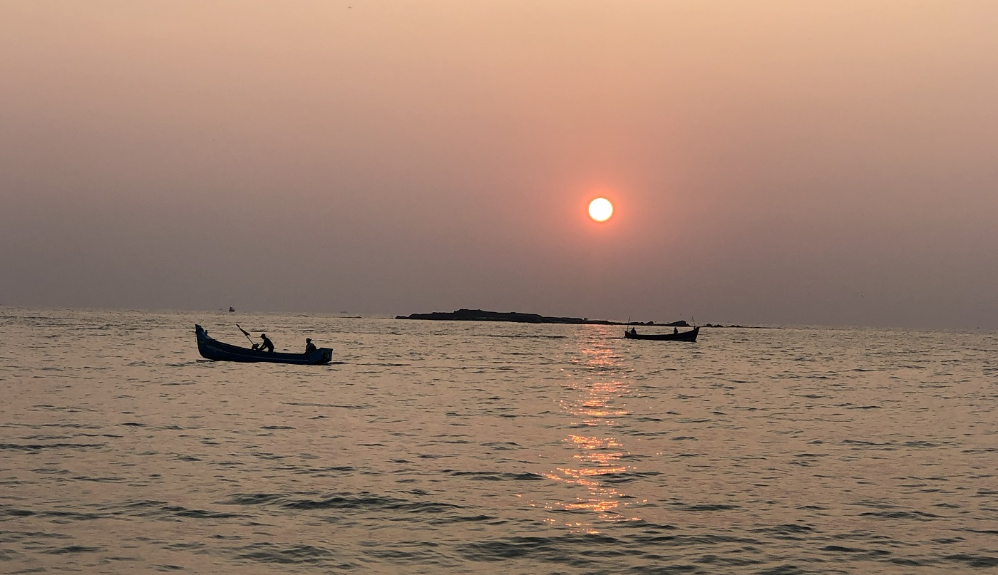 Поле и пальмы