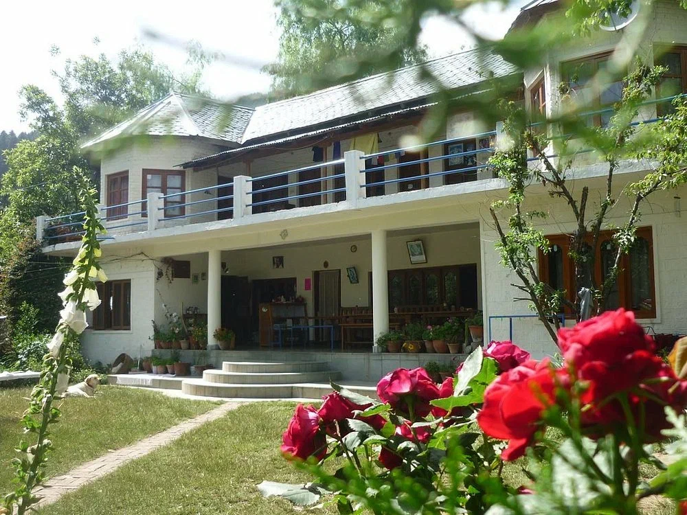 Отель и розы