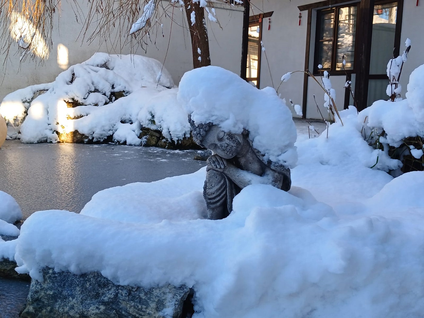 Будда в снегу