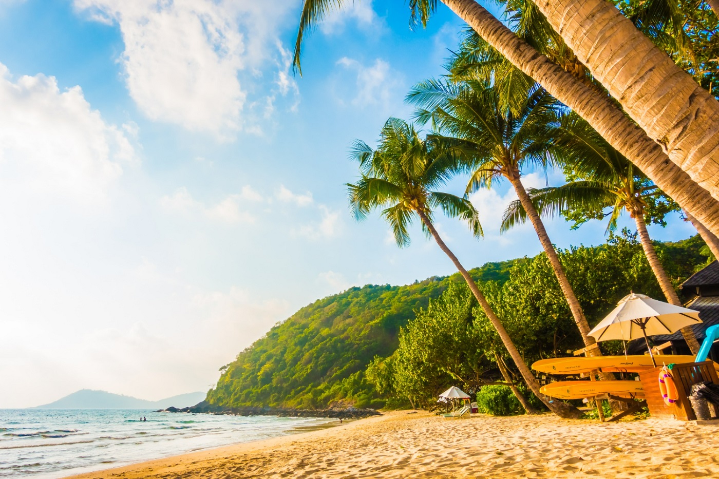 Пальмы и пляж