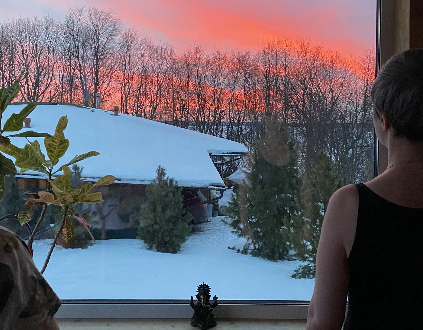 Вид из окна