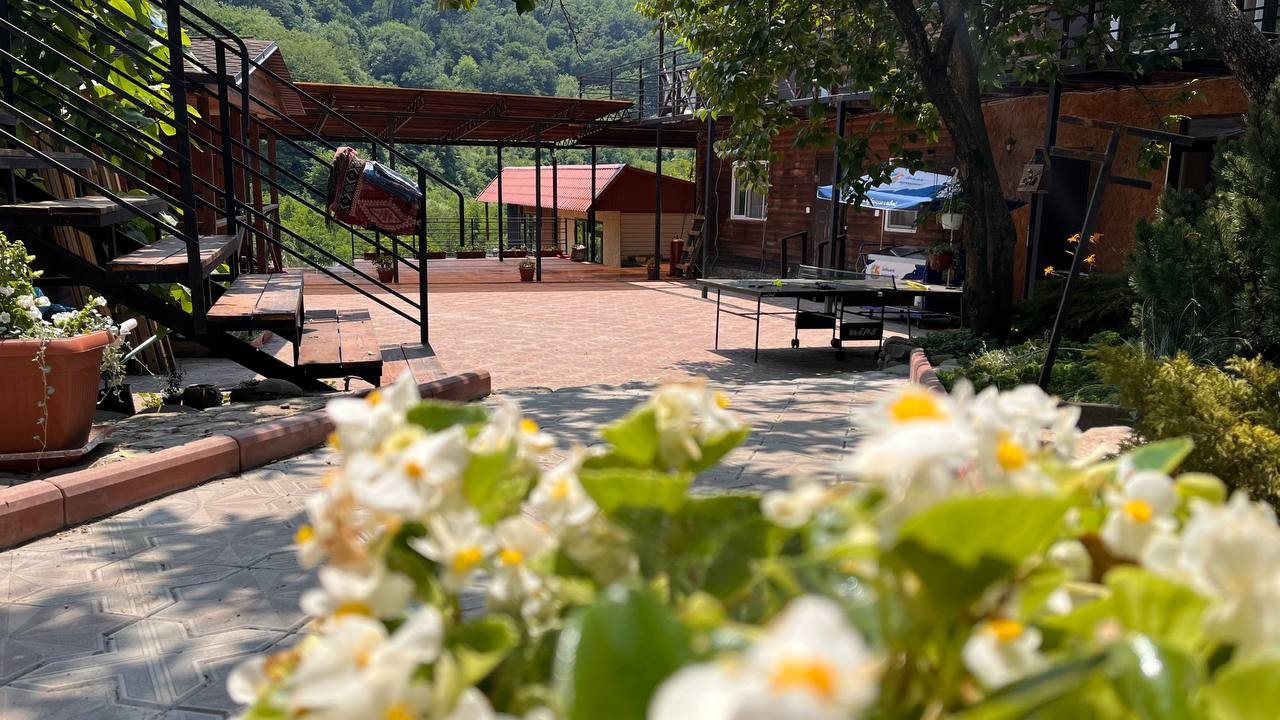 Сочи территория отеля