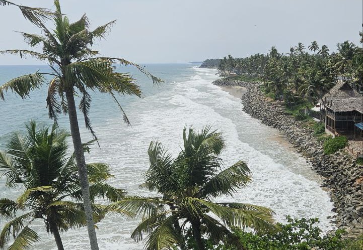 Пляж с пальмами