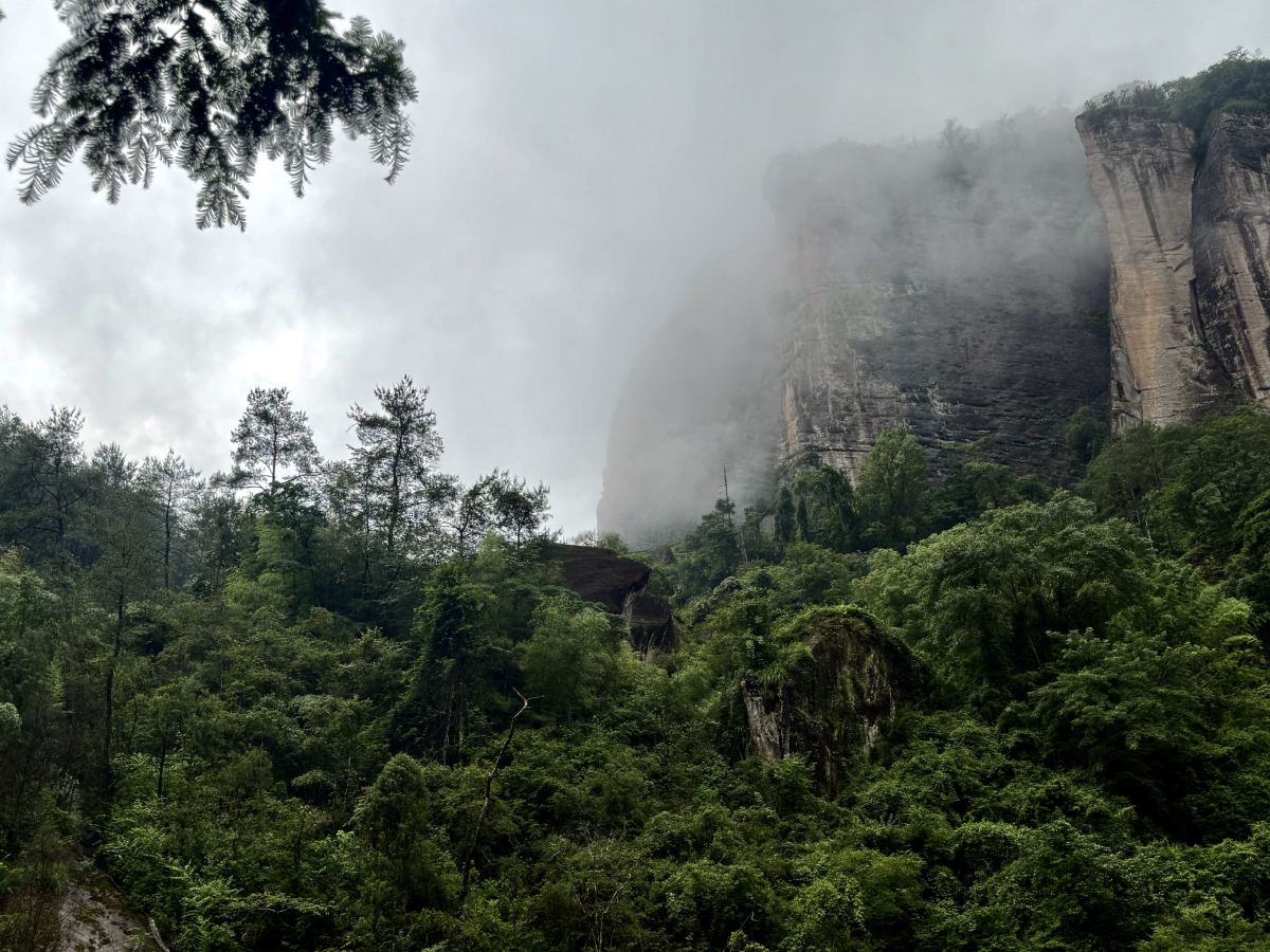 Китай природа