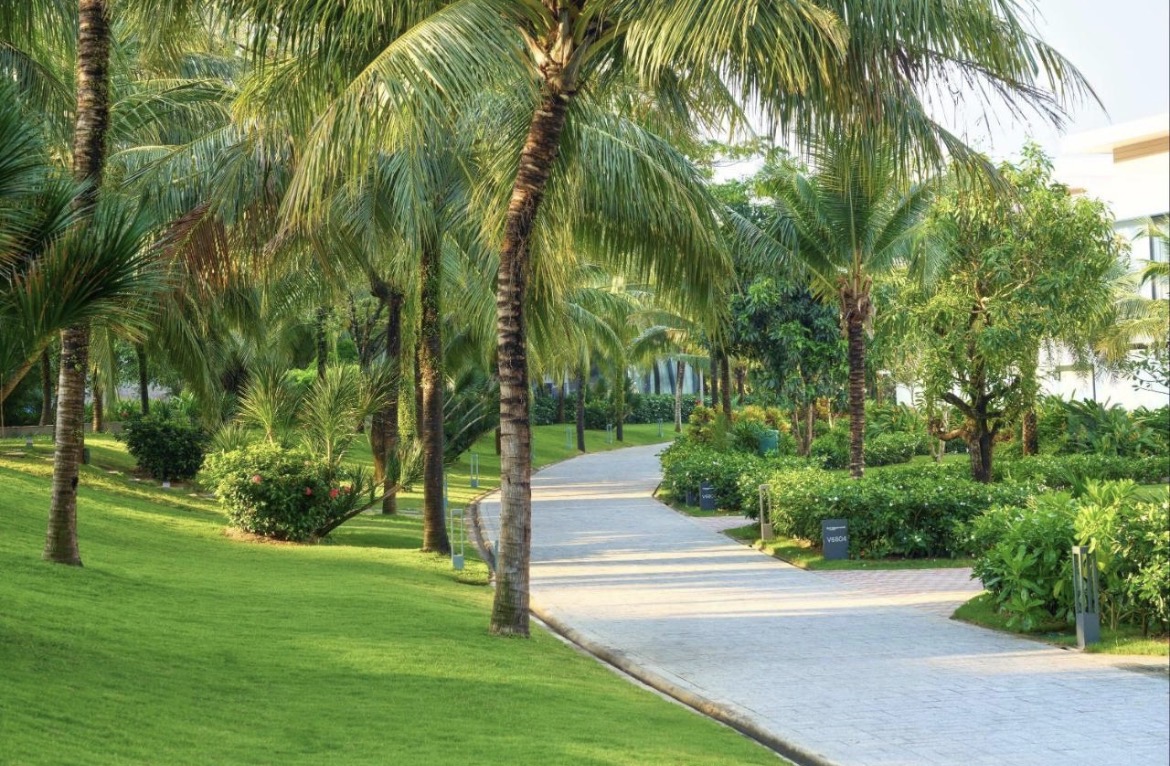 Территория