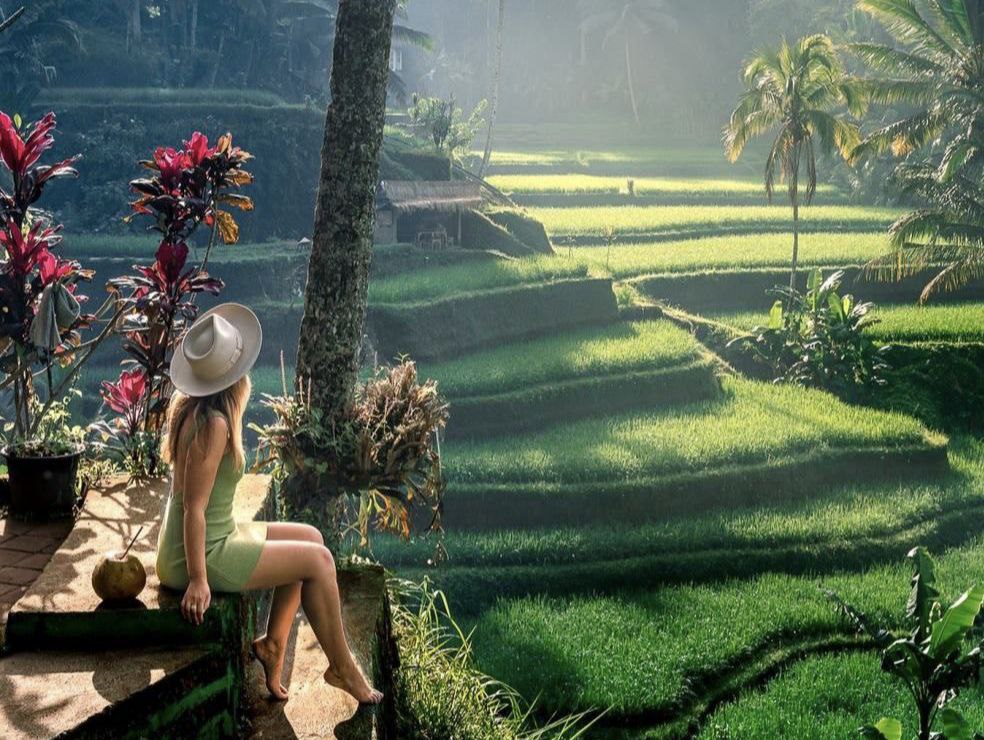 Рисовые поля