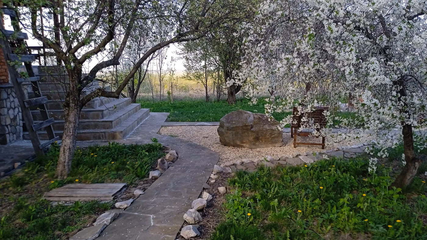 Цветение сада