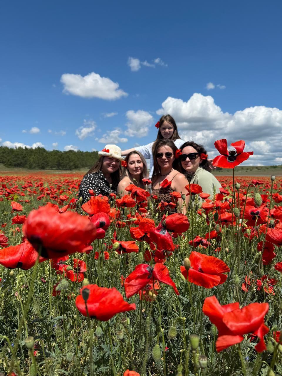 Маковое поле