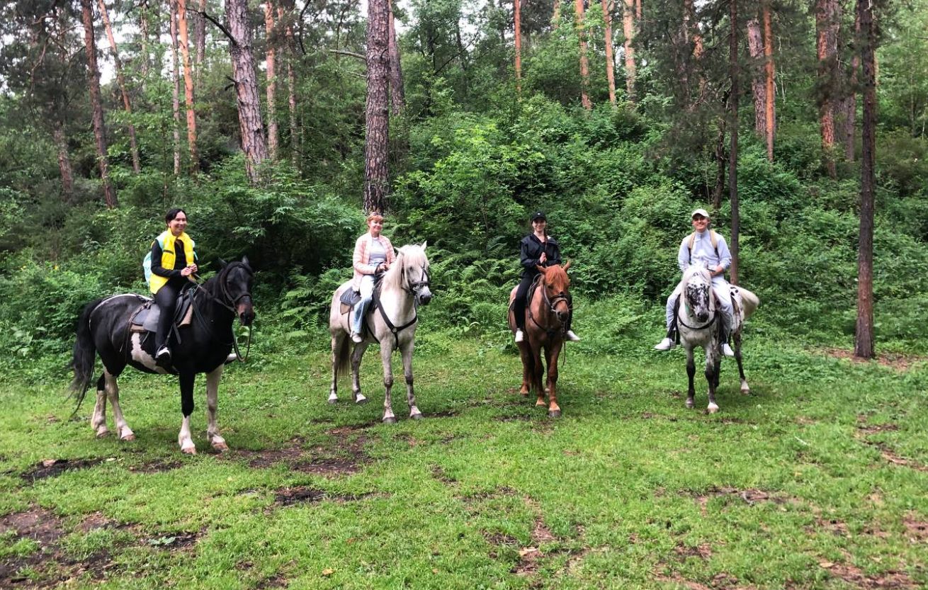 Алтай группа на лошадях