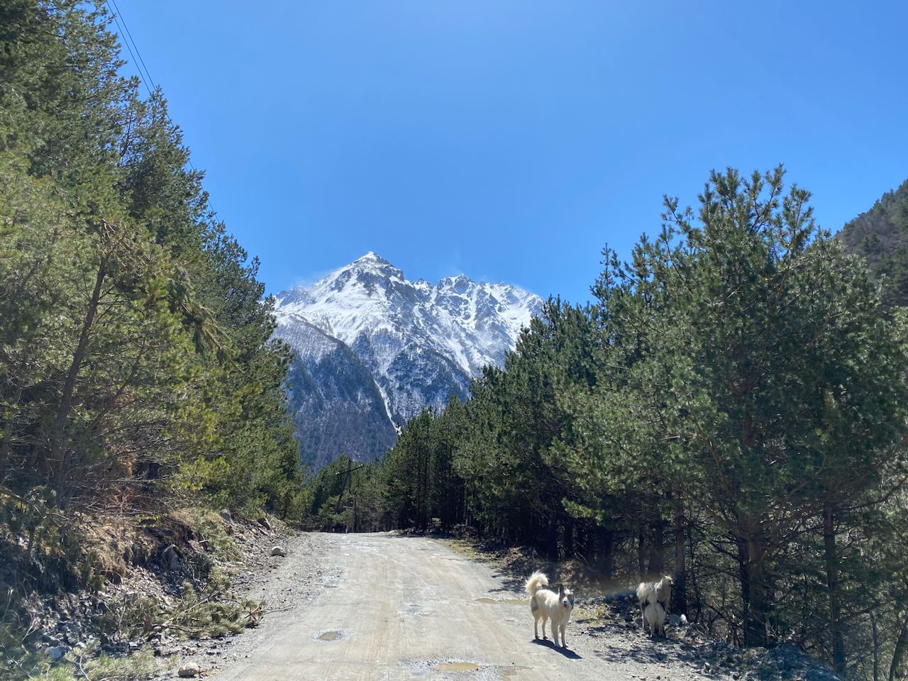 Заснеженные вершины Северная Осетия