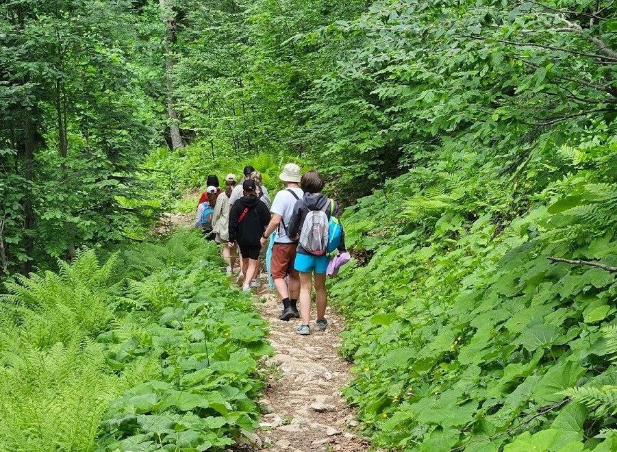 Треккинг Абхазия