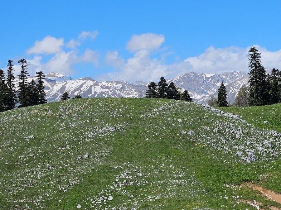 Абхазия вид на горы