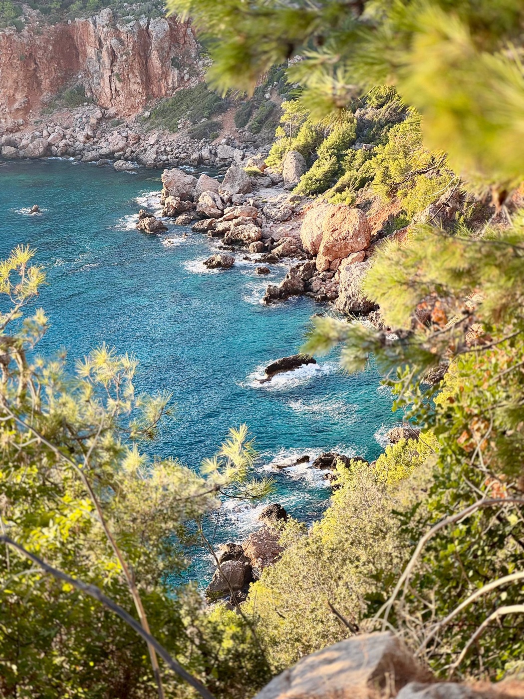 Скалистый берег