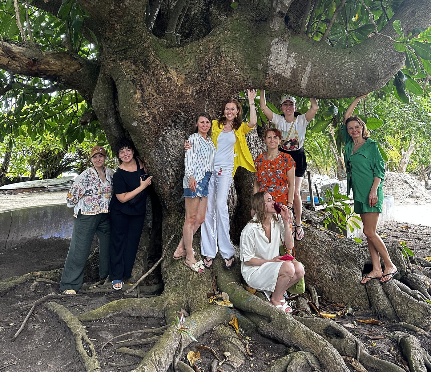 Под деревом