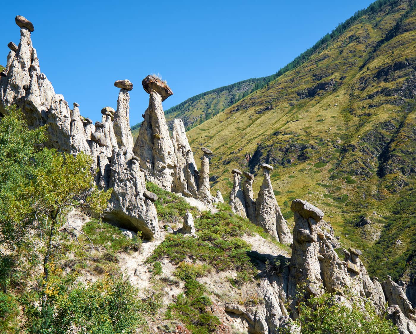 Каменные грибы