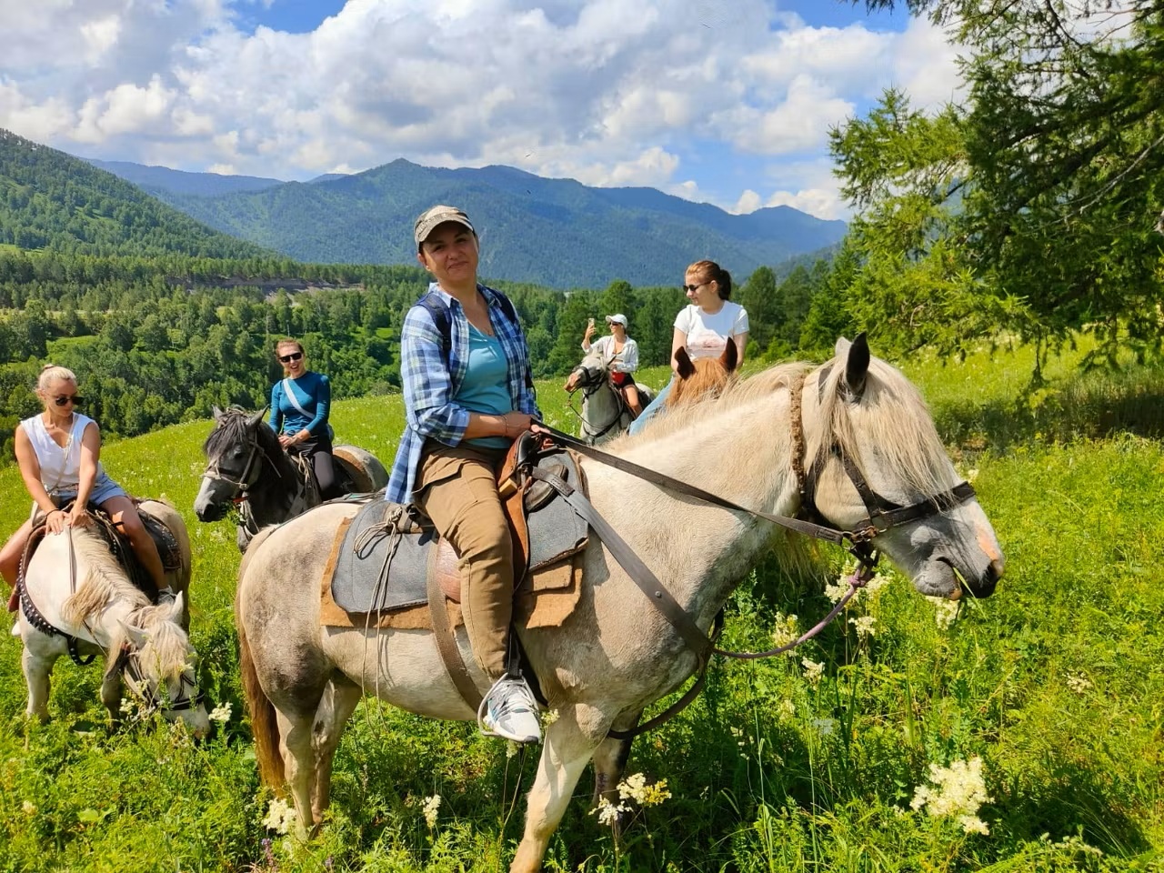 На лошадках