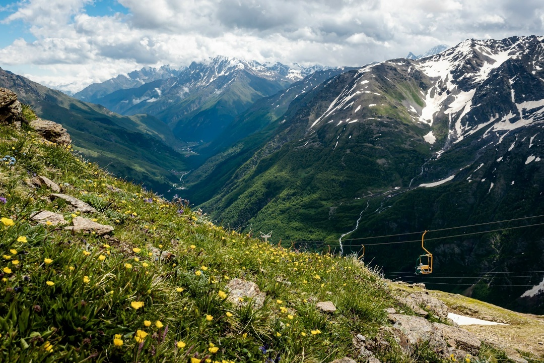 Цветы на склоне