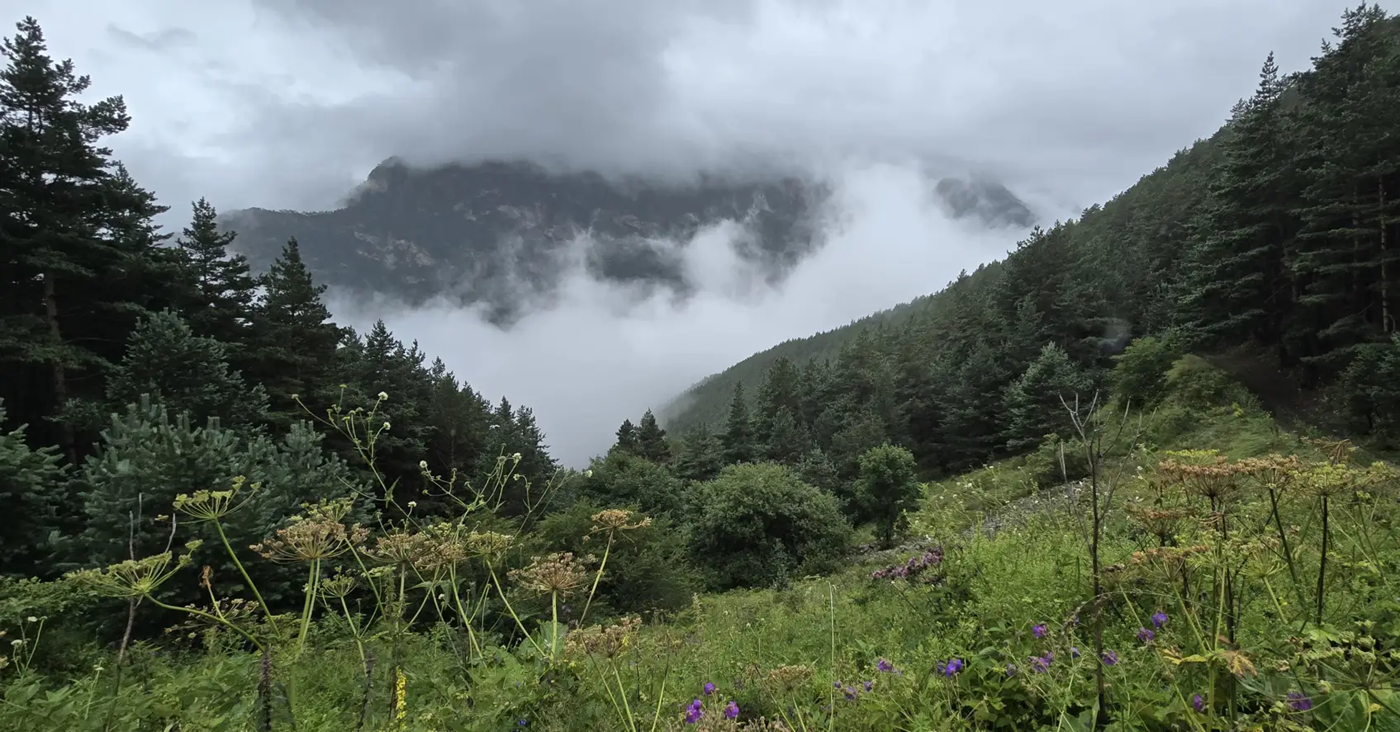 Туман в горах