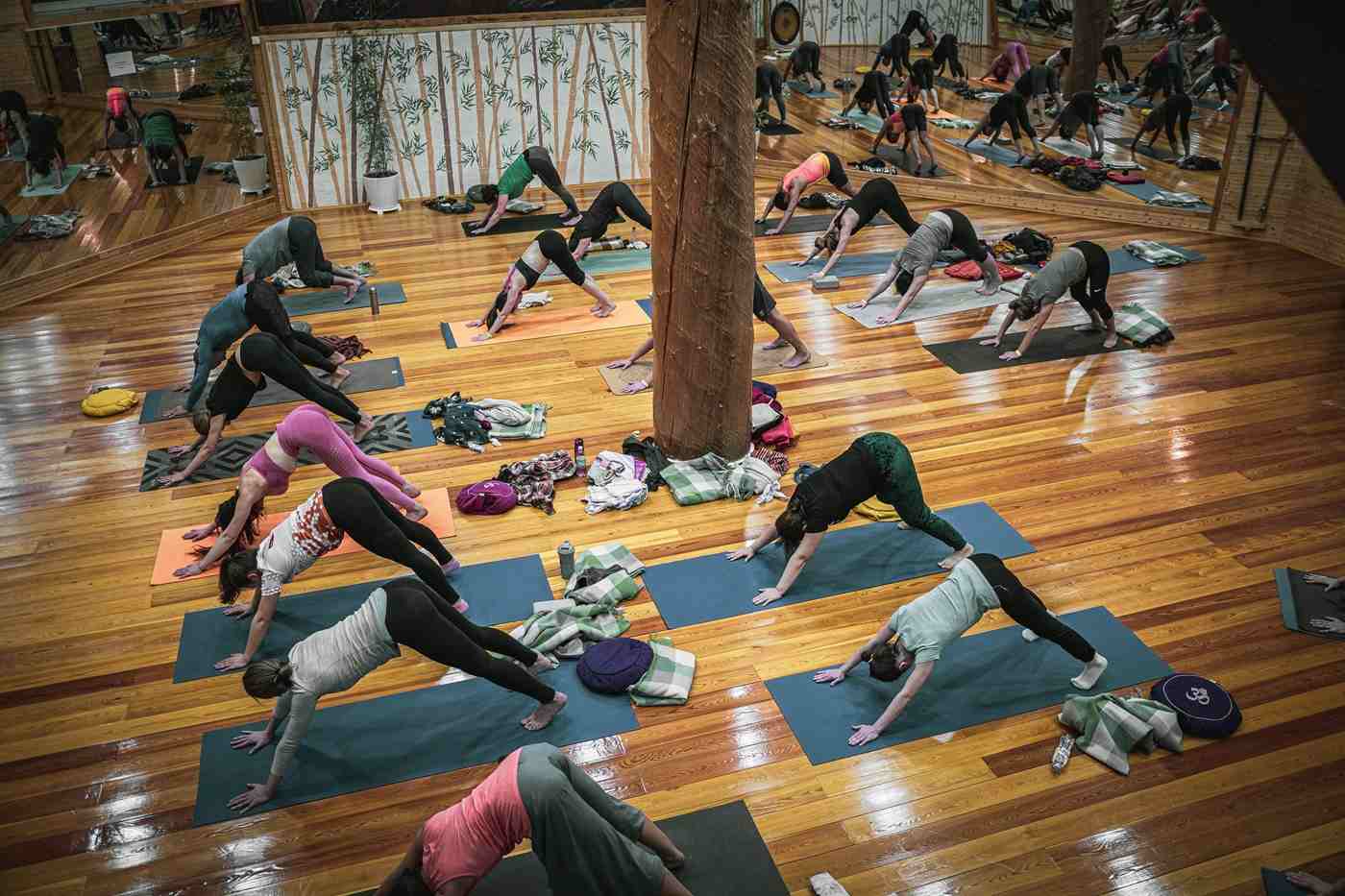 Собака мордой вниз