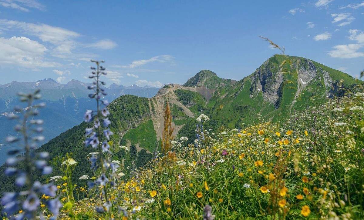 Сочи