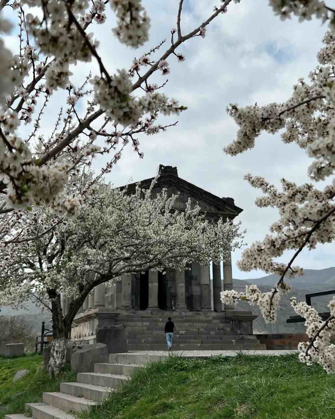 Гарни