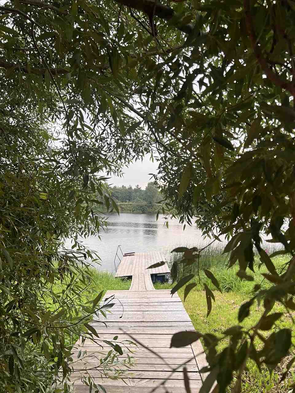 Берег реки