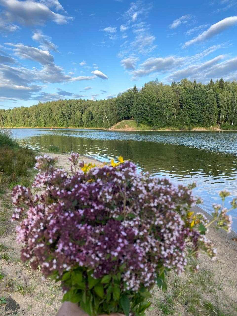 Река