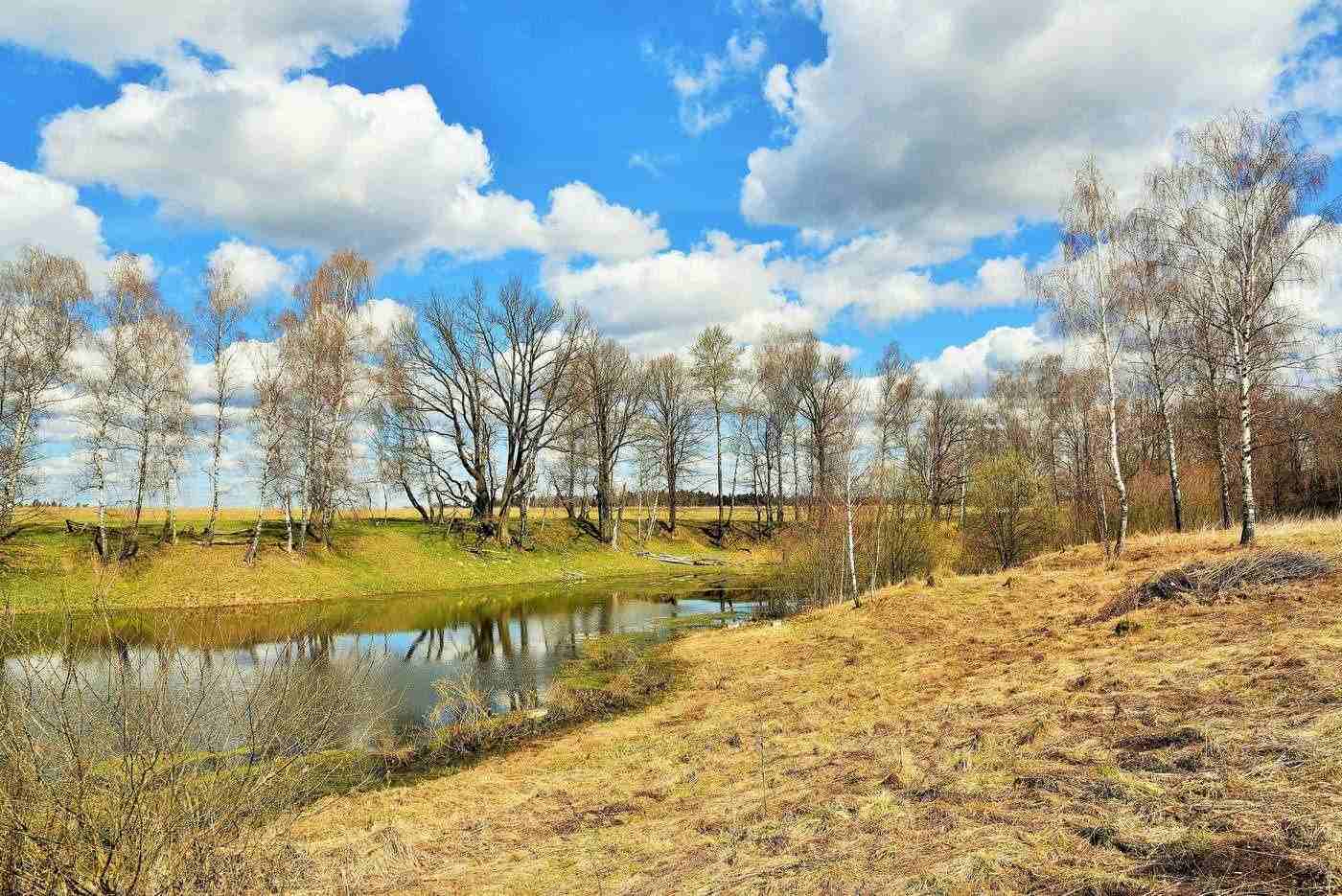 Природа Подмосковья
