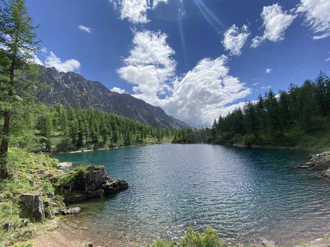 Природа Алтая
