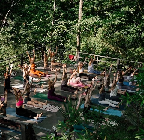 Йога в Сочи